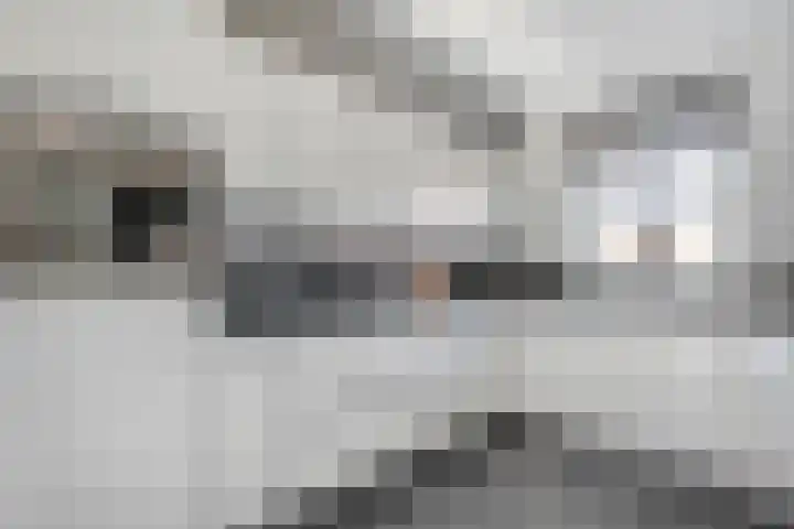 Hagelstege 3 Den Ham thumbnail 12