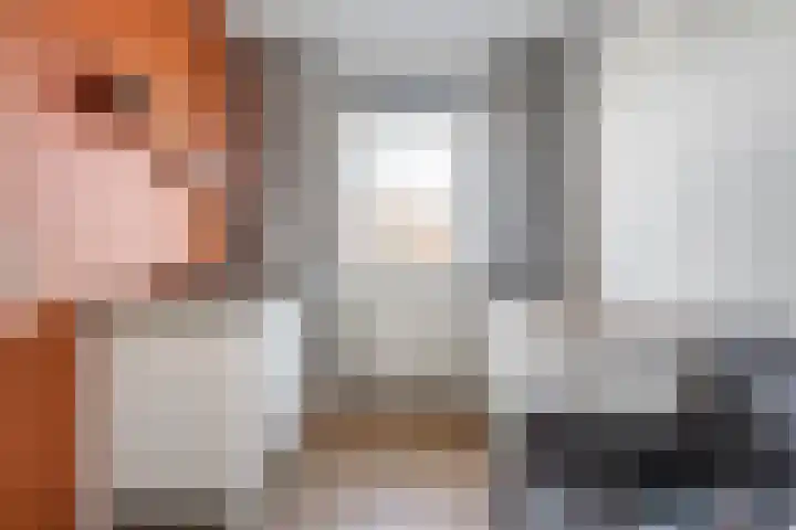 Hagelstege 3 Den Ham thumbnail 17