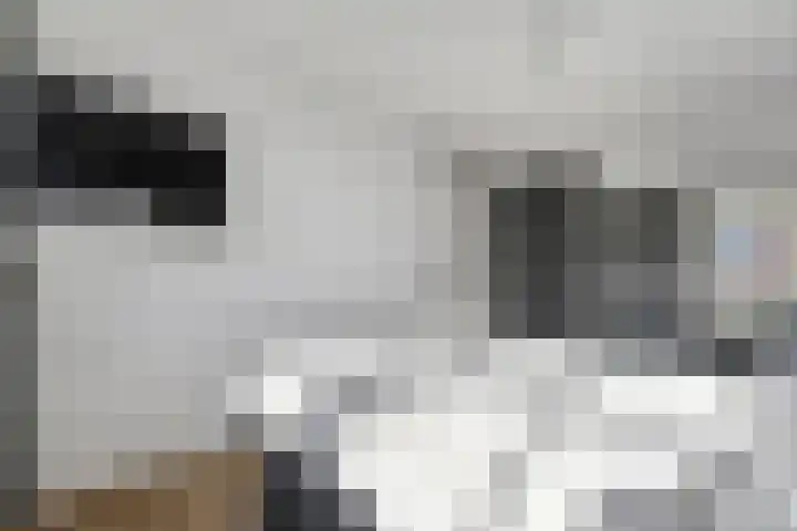 Hagelstege 3 Den Ham thumbnail 20