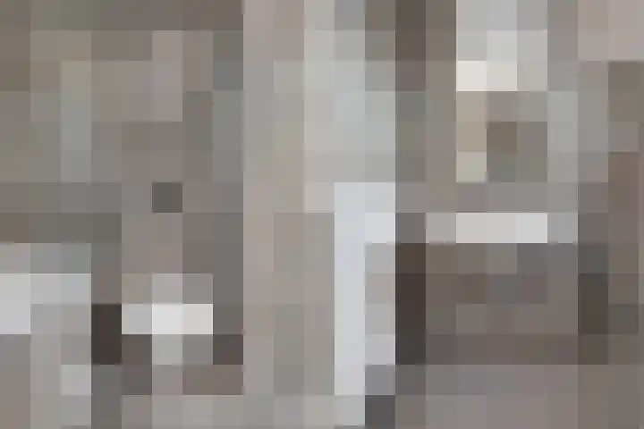 Hagelstege 3 Den Ham thumbnail 22
