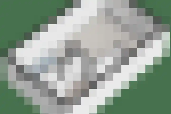 Hagelstege 3 Den Ham thumbnail 32