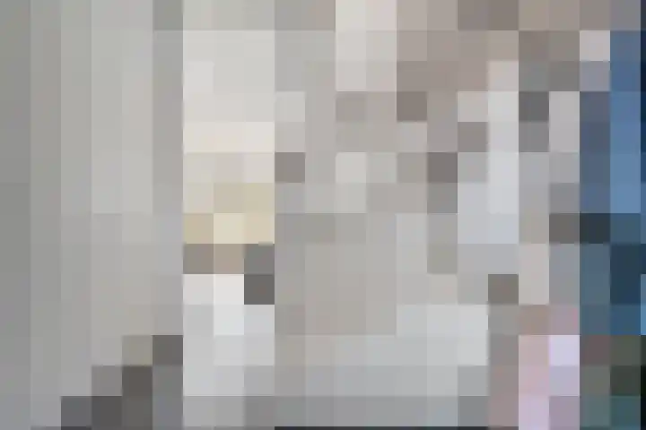 Hagelstege 3 Den Ham thumbnail 7