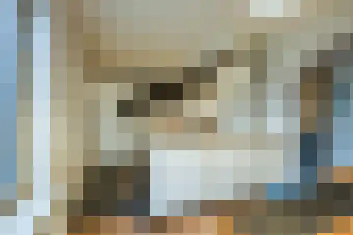 Hagenakkers 25 Echten thumbnail 13
