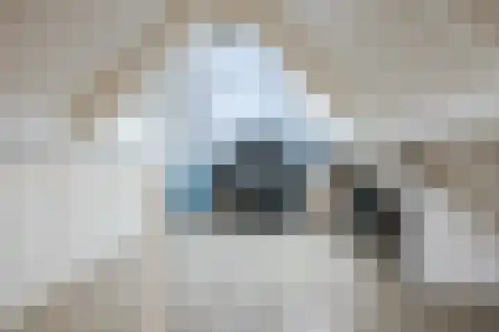 Hagenakkers 25 Echten thumbnail 35