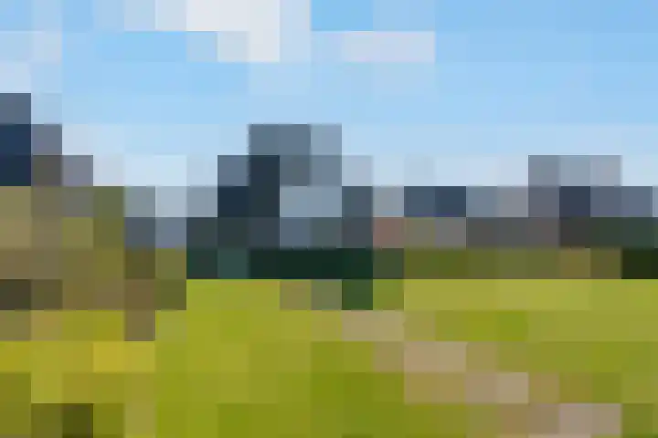 Hagenduin 32 Lelystad thumbnail 53