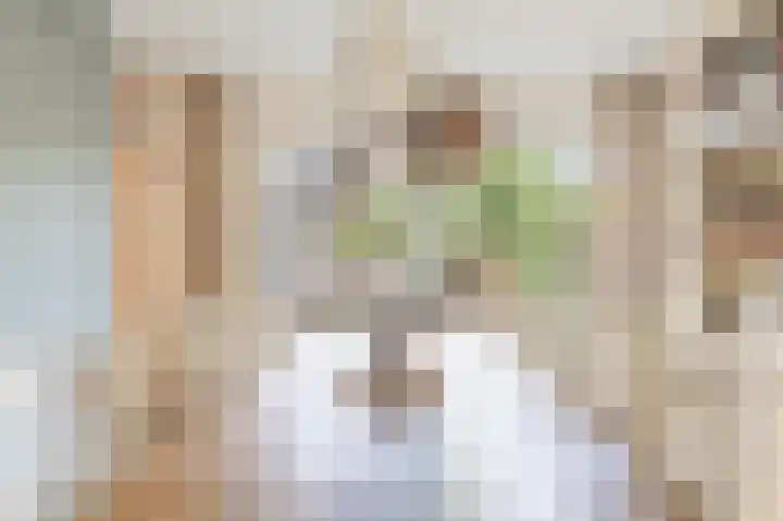Hageneind 2 Tynaarlo thumbnail 10