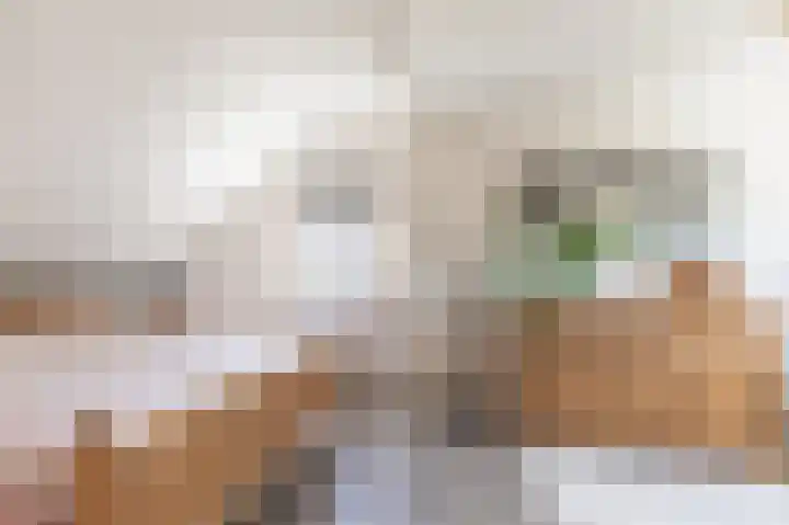 Hageneind 2 Tynaarlo thumbnail 25