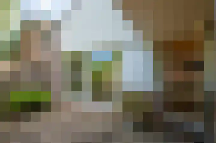Hageneind 2 Tynaarlo thumbnail 27
