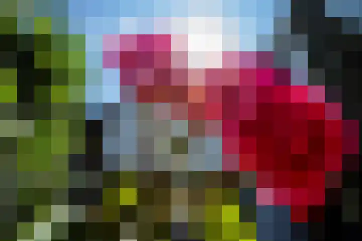 Hageneind 2 Tynaarlo thumbnail 28