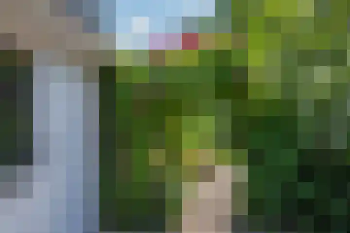 Hageneind 2 Tynaarlo thumbnail 36