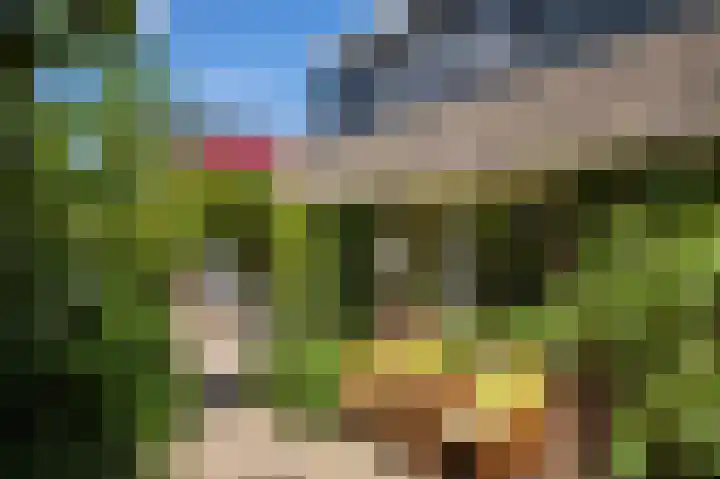 Hageneind 2 Tynaarlo thumbnail 37