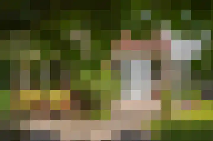 Hageneind 2 Tynaarlo thumbnail 38