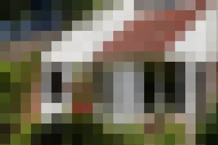 Hageneind 2 Tynaarlo thumbnail 39