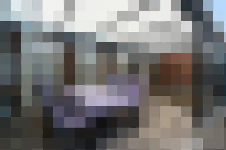 Hageneind 2 Tynaarlo thumbnail 5