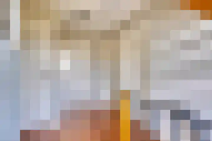 Hagerpad 3 Veldhoven thumbnail 31