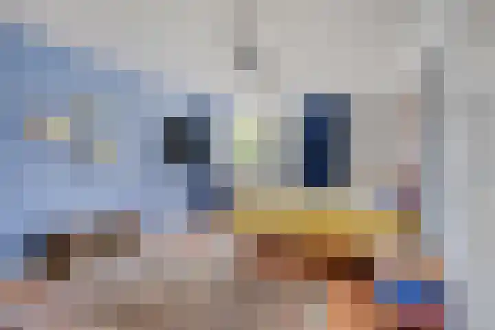 Hagerpad 3 Veldhoven thumbnail 35