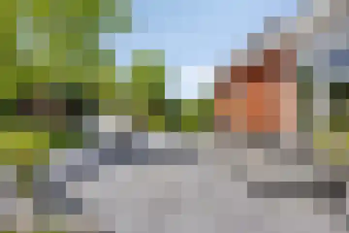 Hagerpad 3 Veldhoven thumbnail 59