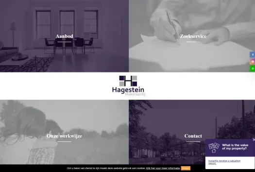 Screenshot van de website van www.hagesteinmakelaardij.nl