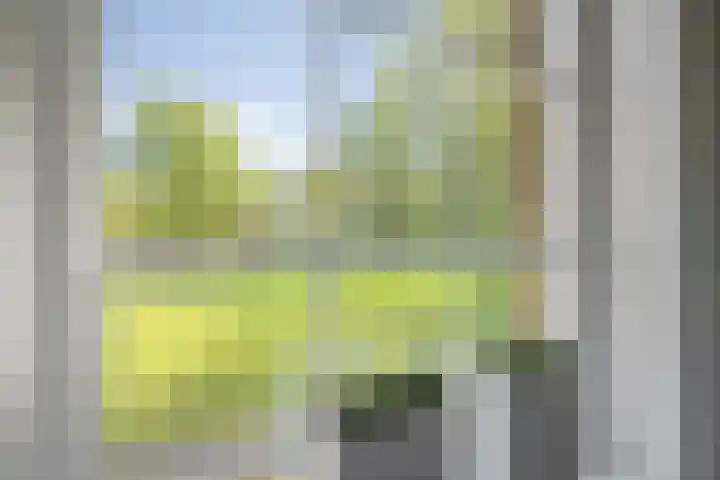 Hageveld 40 Heemstede thumbnail 14