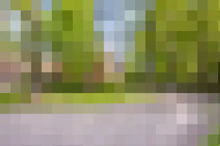 Hageveld 40 Heemstede thumbnail 58