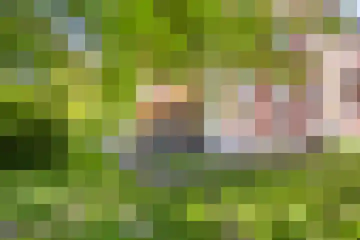 Hageveld 40 Heemstede thumbnail 62