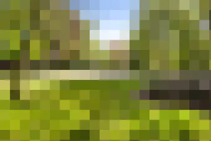 Hageveld 40 Heemstede thumbnail 71