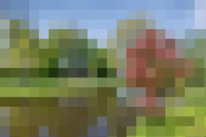 Hageveld 40 Heemstede thumbnail 73