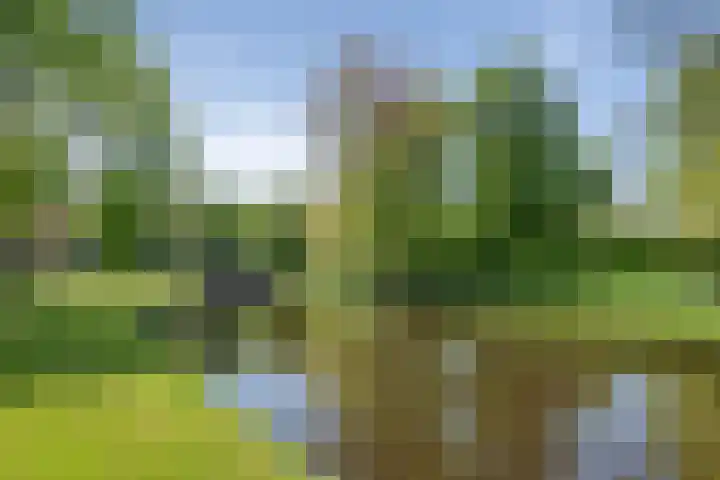Hageveld 40 Heemstede thumbnail 74