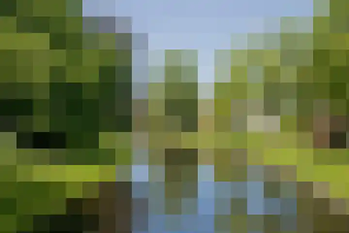 Hageveld 40 Heemstede thumbnail 75