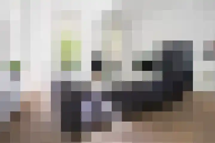 Hageveld 40 Heemstede thumbnail 8