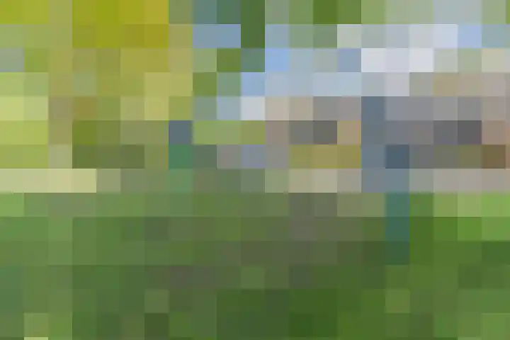 Hakhorst 16 Leusden thumbnail 45