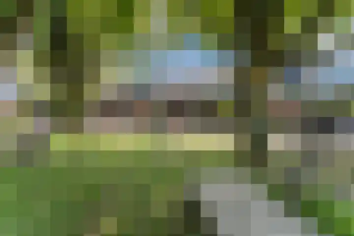 Hakhorst 16 Leusden thumbnail 46