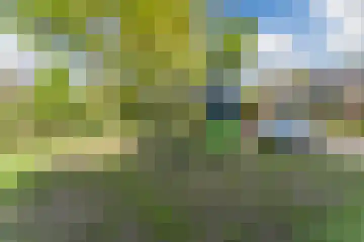 Hakhorst 16 Leusden thumbnail 47