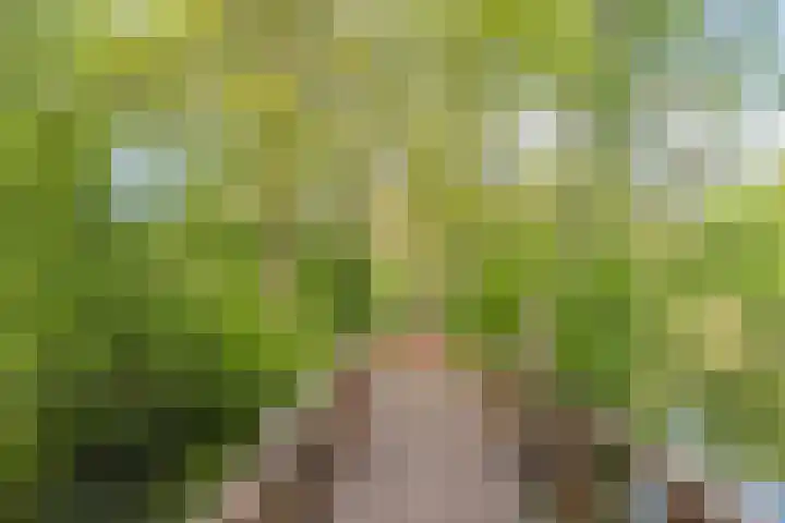 Hakhorst 16 Leusden thumbnail 49