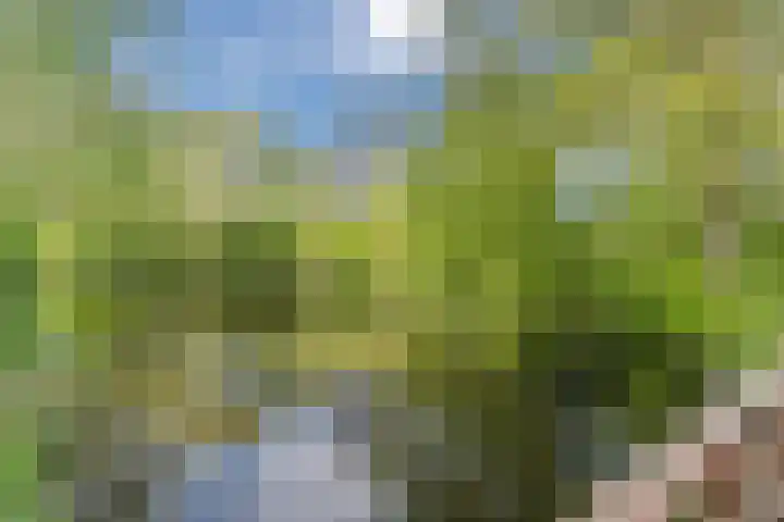 Hakhorst 16 Leusden thumbnail 50