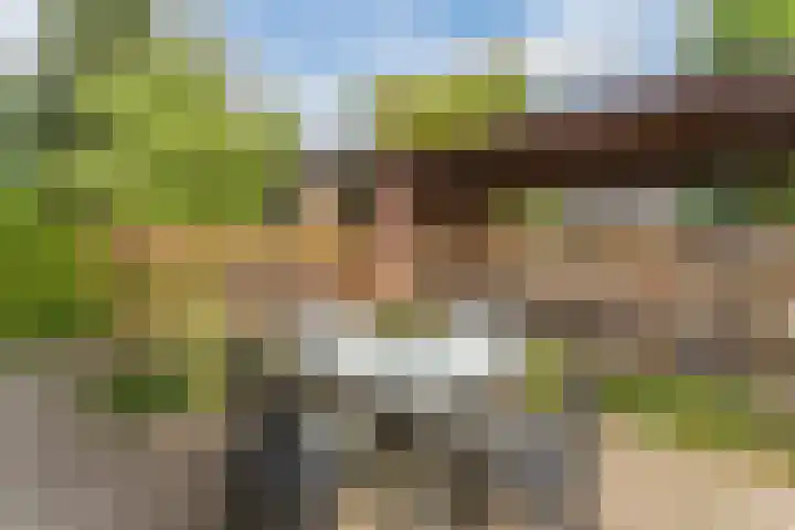 Hakhorst 16 Leusden thumbnail 8