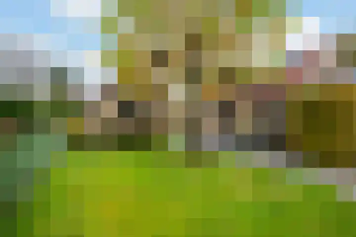 Hakschaer 6 Putten thumbnail 21