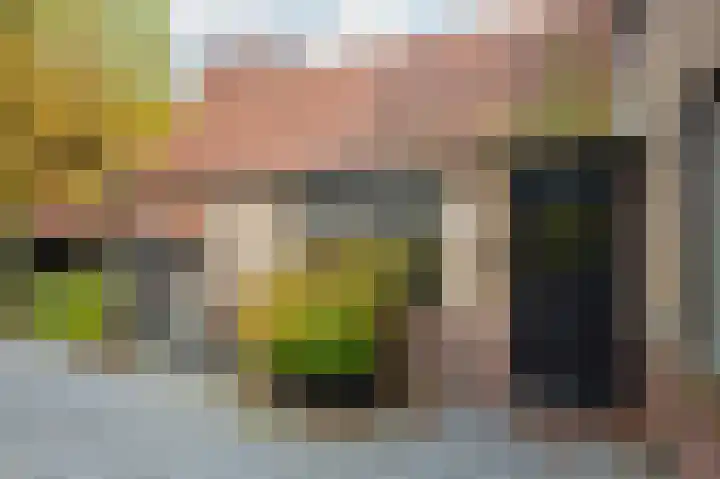 Hakschaer 6 Putten thumbnail 22