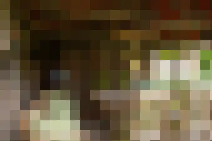 Hakschaer 6 Putten thumbnail 26