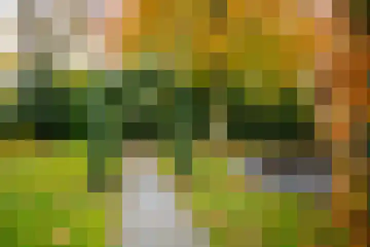 Hakschaer 6 Putten thumbnail 28