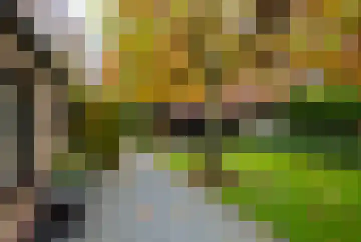 Hakschaer 6 Putten thumbnail 30