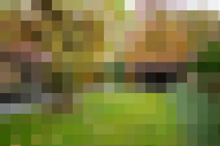 Hakschaer 6 Putten thumbnail 31