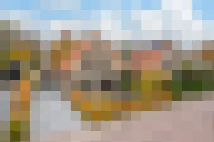 Hakschaer 6 Putten thumbnail 4