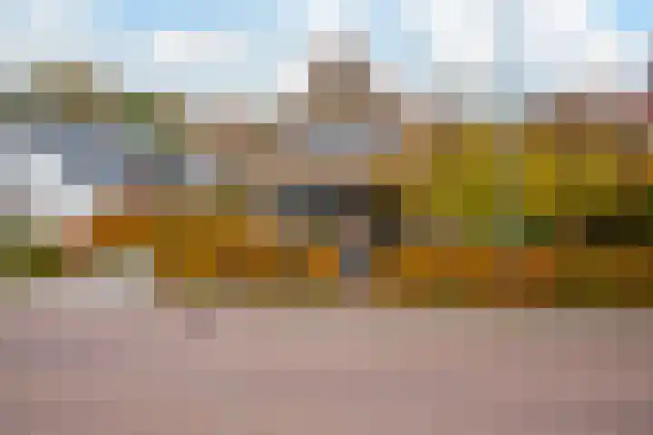 Hakschaer 6 Putten thumbnail 5