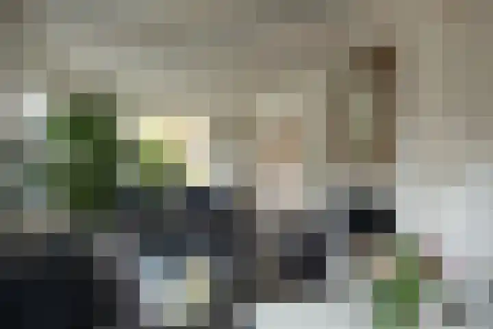 Hakschaer 6 Putten thumbnail 7