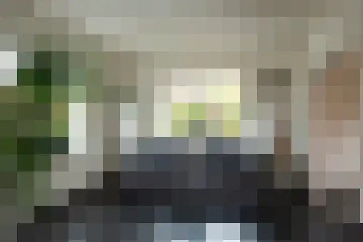 Hakschaer 6 Putten thumbnail 8