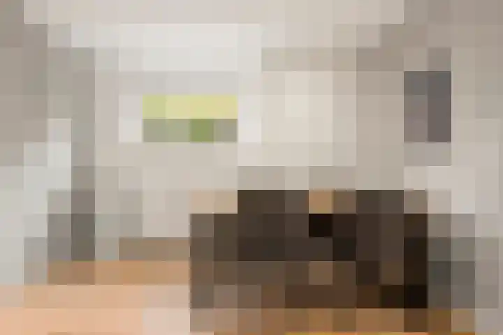 Hakselseweg 61 Ede thumbnail 11