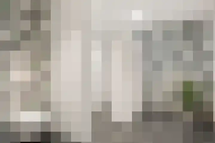 Hakselseweg 61 Ede thumbnail 17