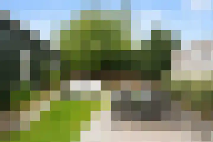 Hakselseweg 61 Ede thumbnail 35