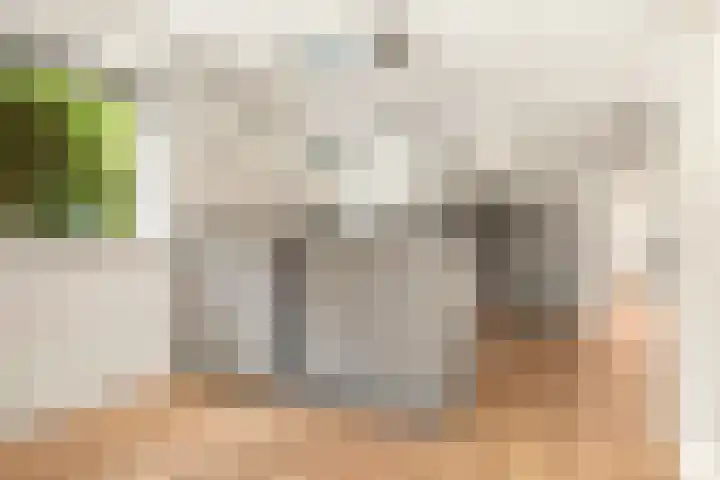Hakselseweg 61 Ede thumbnail 8